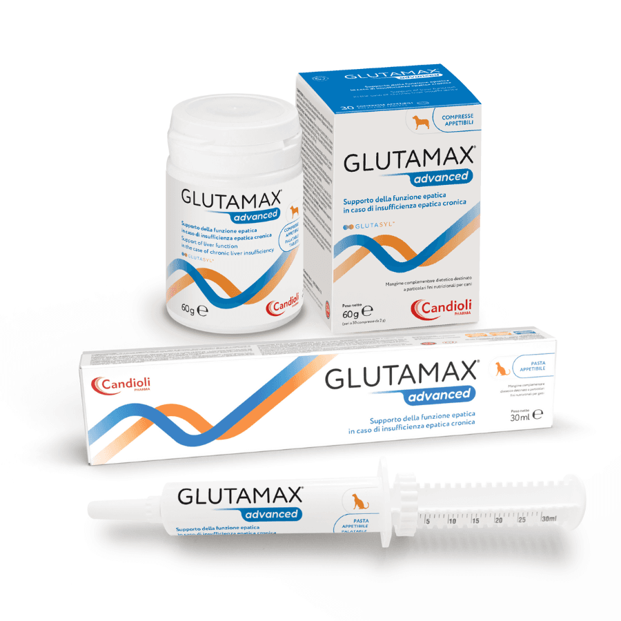 Candioli GlutaMax Advanced gatti pasta - 30 ml