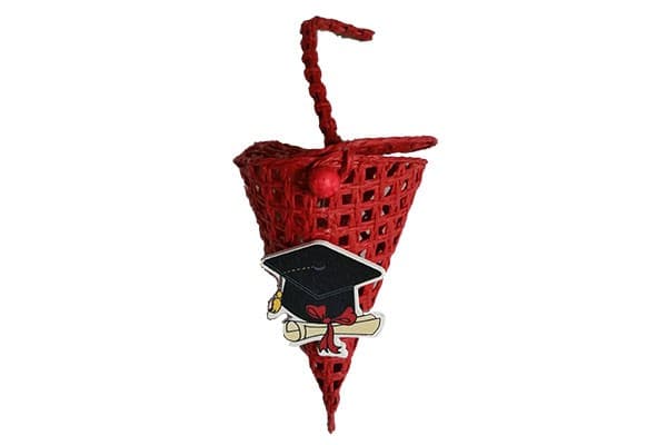 Coni portaconfetti laurea con decorazione tocco 1pz