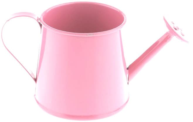 Innaffiatoio Rosa