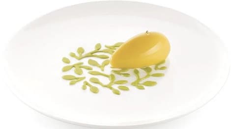 Stencil Ramo Silikomart (2 Pz) – Stampo in Silicone Giallo per Decori Rametti Ø10×H0,1cm
