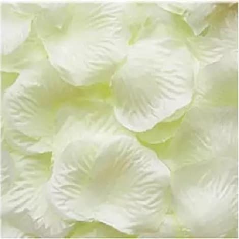 Petali Finti Avorio 15 g