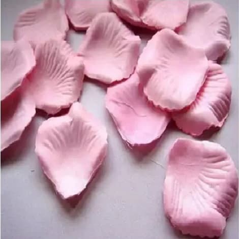 Petali Finti Rosa 15 g