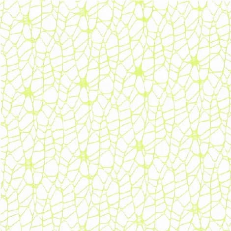 Veli in Polycotton Verdino Quadrati cm 24 pz 20