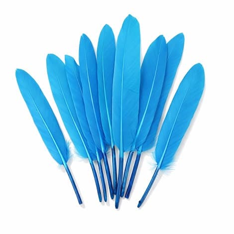 20 Piume d’Oca Turchese 8–15 cm – Decorazioni Eleganti per Party e Feste
