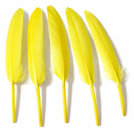 20 Piume d’Oca Gialle 8–15 cm – Decorazioni Eleganti per Party e Feste