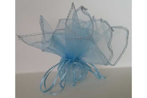 50 Veli Celesti in organza con laccetto e orlo in argento tondi da 24 cm