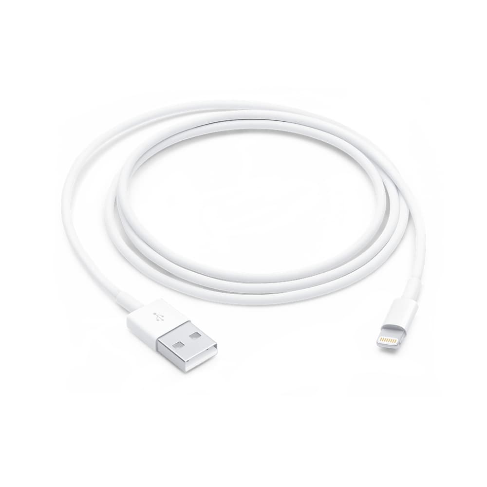 Apple Cavo da Lightning a USB (1 m) GARANZIA ITALIA