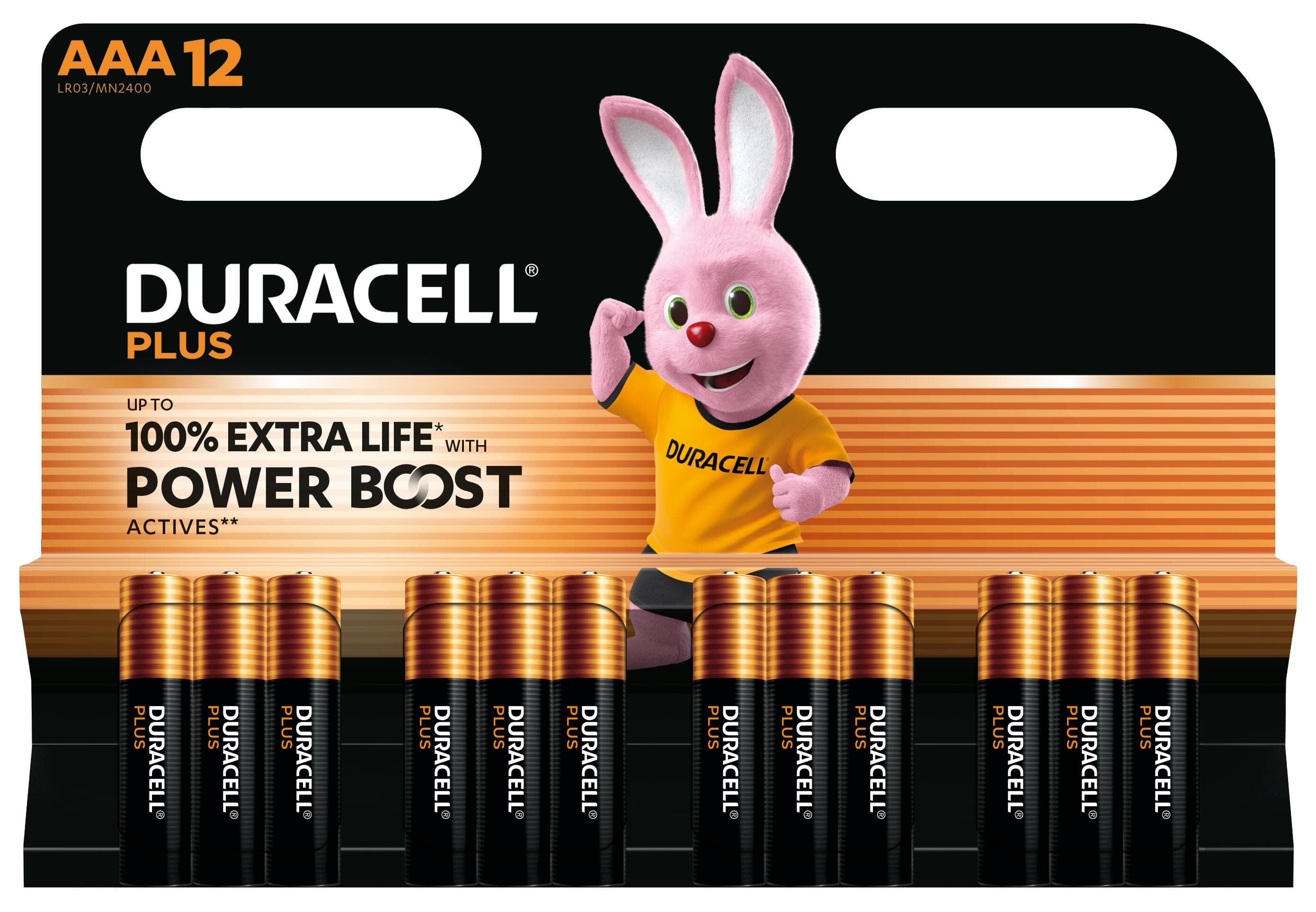 Duracell Plus Batteria monouso Mini Stilo AAA Alcalino GARANZIA ITALIA