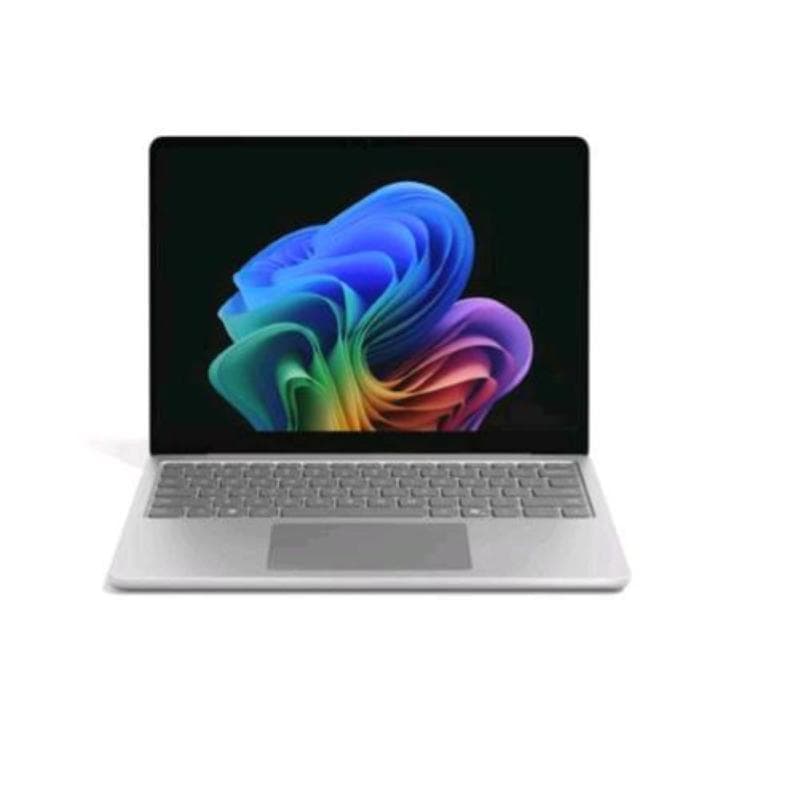 Laptop13in c8/24/1tb plat