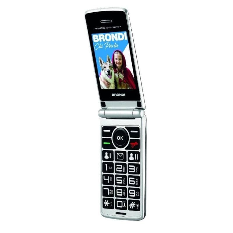Brondi amico sincero+ grey ds ita