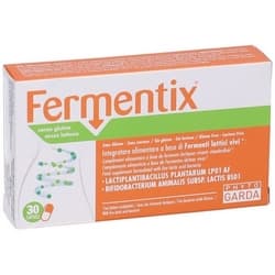 Fermentix Capsule 13,65g