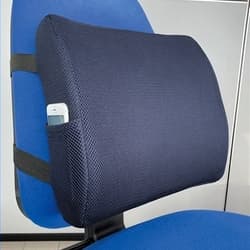 Rekordsan Sostegno Lombare Ergonomico Salva Schiena BEN122