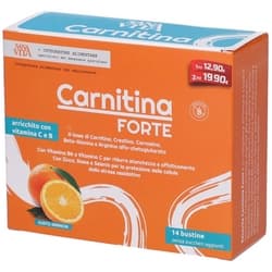 Sanavita Carnitina FORTE Bustine 49g