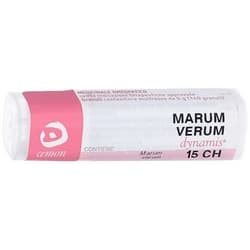 Teucrium Marum Verum 15CH Granuli CeMON