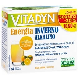 Vitadyn Energia Inverno Alkalino Bustine 70g
