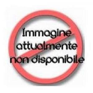 IMPSCARR30 Carrello per impastatrice a spirale mod. 30