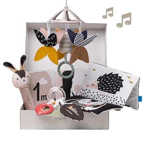 Confezione regalo Taf Toys bianco & nero per neonati