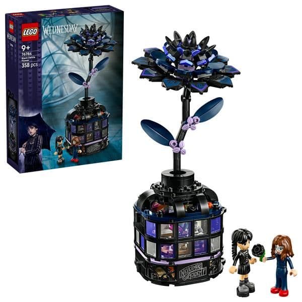 Fiore di dalia nero