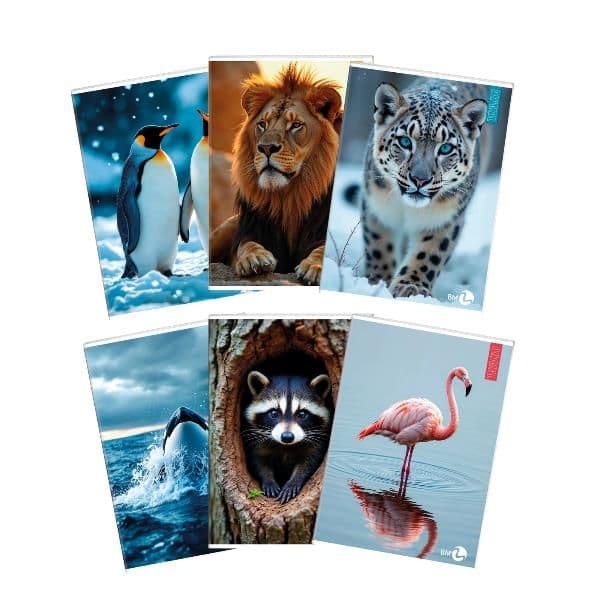 QUADERNI ANIMAL A4 80GR 1 RIGO - CONF10