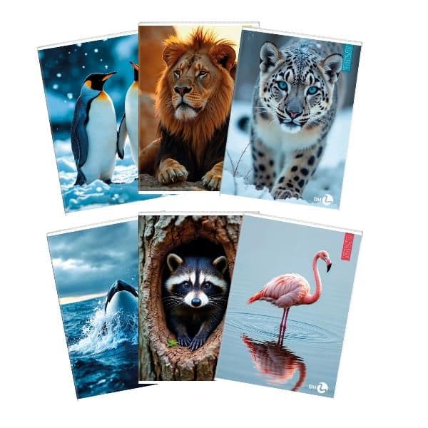 QUADERNI ANIMAL A4 80GR C - CONF10