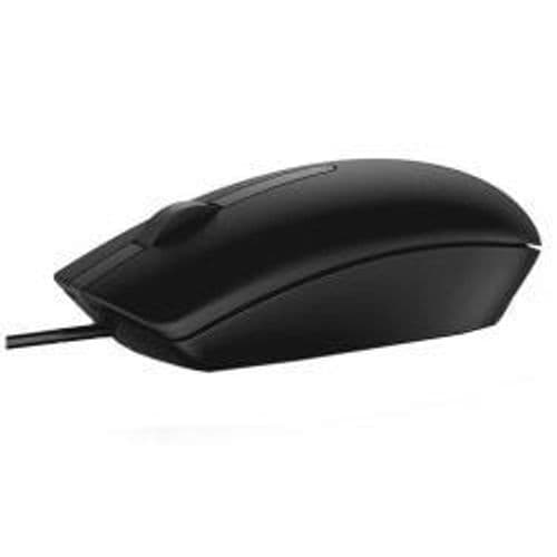 Mouse MS116
