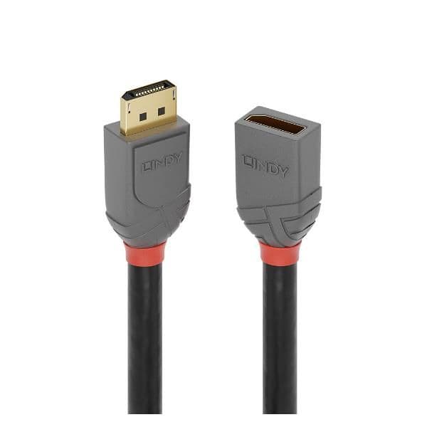 Prolunga DisplayPort 1.4 Anthra Line, 1m
