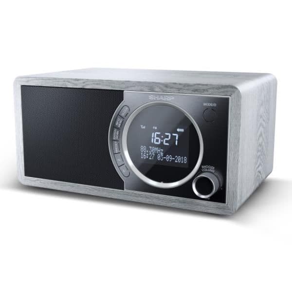 Radio digitale DR-450