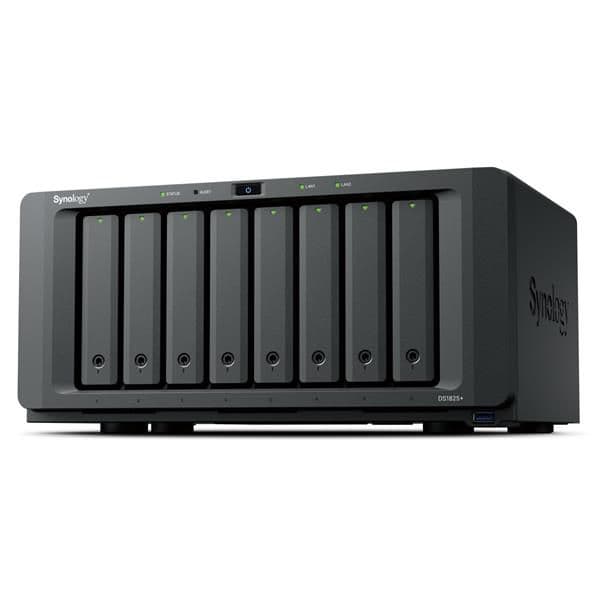 DS1825+