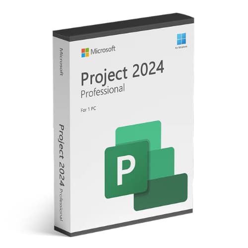 Microsoft Project 2024 Professional Bind