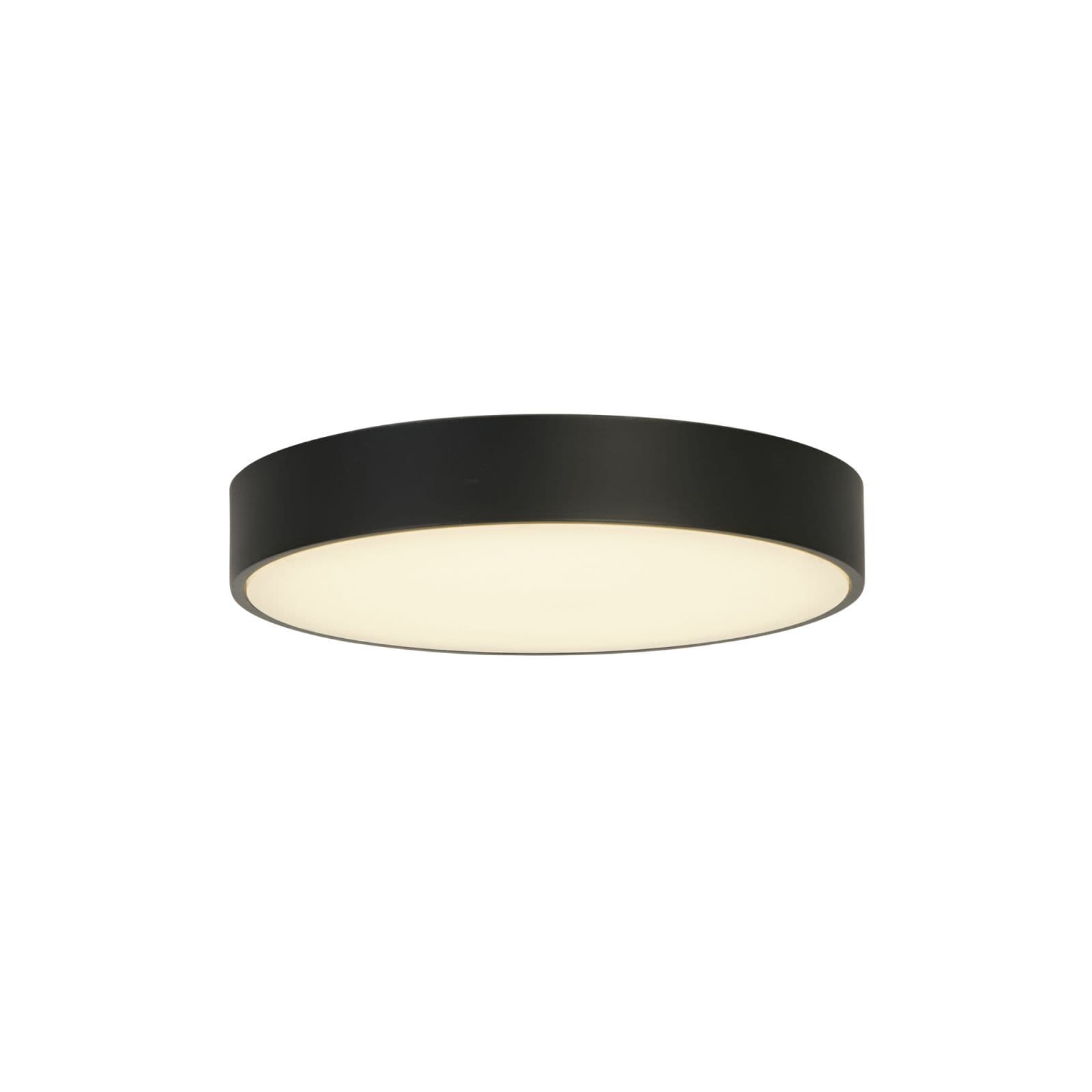 Palma LED Flush, Policarbonato Nero con Diffusore Bianco